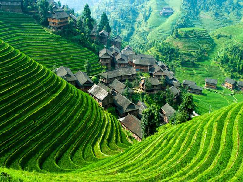 Longsheng